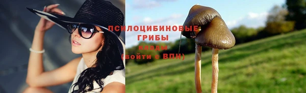 apvp Алзамай
