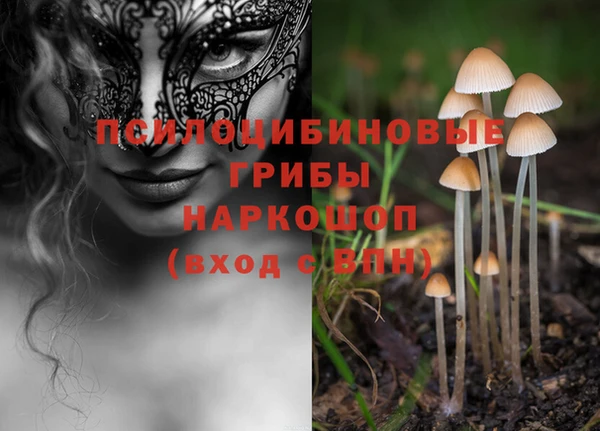 apvp Алзамай