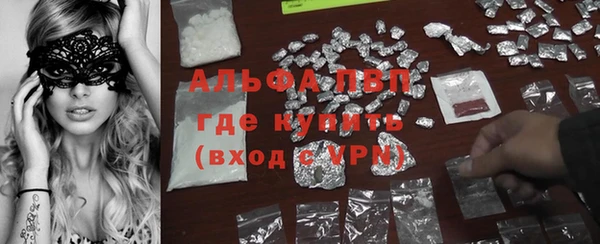 apvp Алзамай