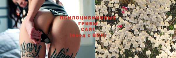 apvp Алзамай