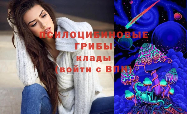 крисы Алексеевка