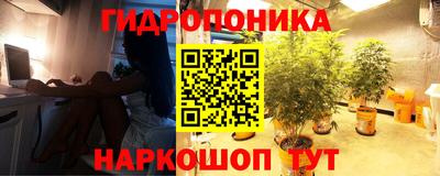 каннабис Волгодонск