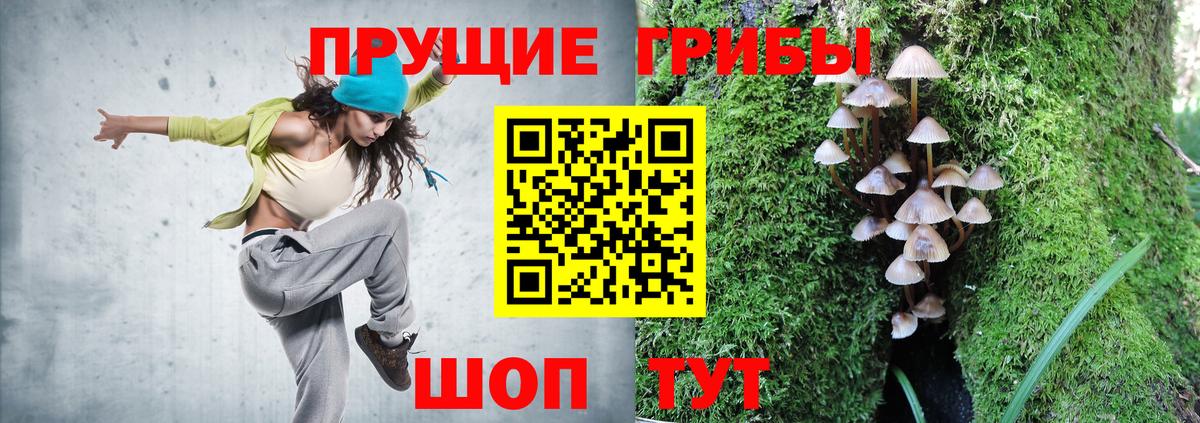Набережные Челны  Псилоцибиновые грибы GOLDEN TEACHER  Вход с VPN 