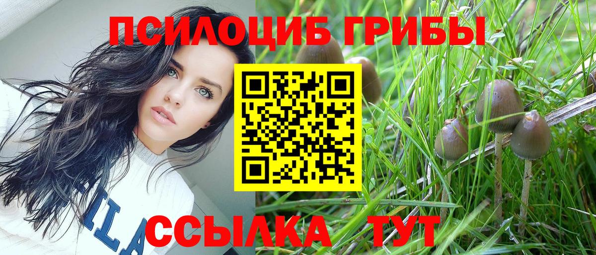 Псилоцибиновые грибы Cubensis Набережные Челны